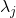 \lambda_{j}