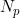 N_p