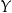 Y