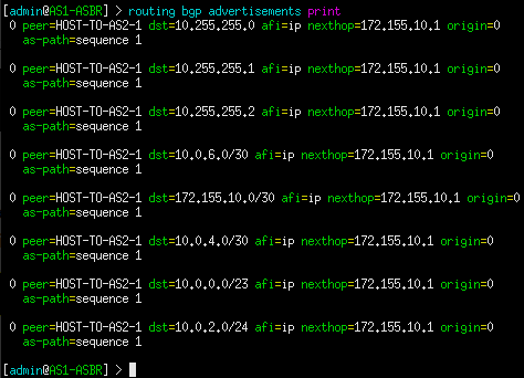 terminal command execution