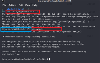 Gaining Access – SQL Injection – Mastering Enterprise Networks
