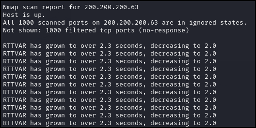 Results of Nmap scan using the no host discovery option