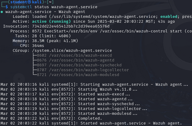 Shows status of agent