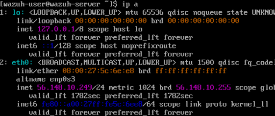 results of command ip a