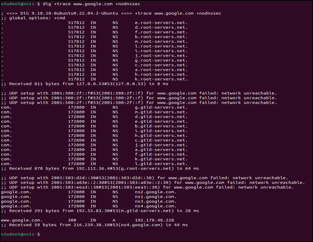 Results of running DIG on www.google.com DIG results
