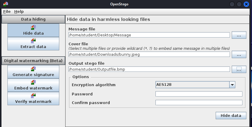 Screenshot of Hiding Data using OpenStego