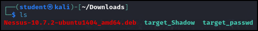 Files are copied