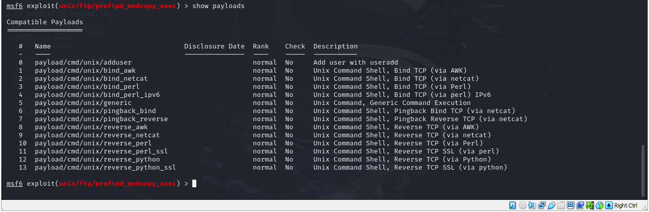 Setting the payload