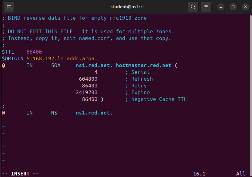 Screenshot of the removal of all DNS entries