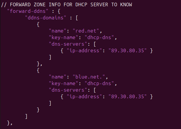 Screenshot of DDNS file's forward lookup information