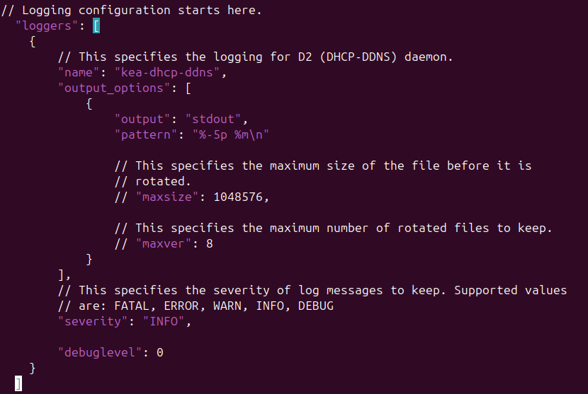 Screenshot of KEA's default logging information in DDNS file