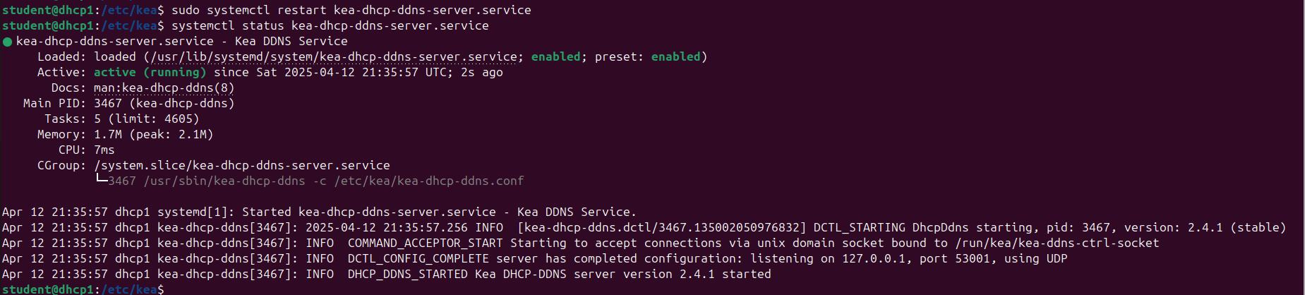 Screenshot of KEA's DDNS service actively running
