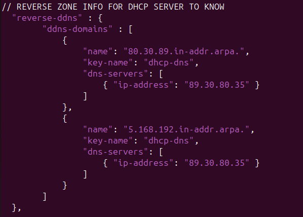 Screenshot of DDNS reverse lookup information