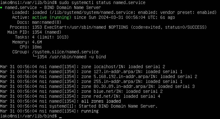 Screenshot showing BIND is active without errors