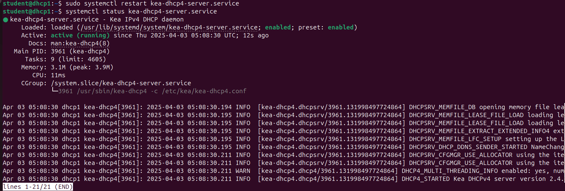 Screenshot of DHCP service's active status