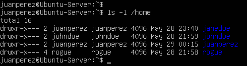 terminal command execution