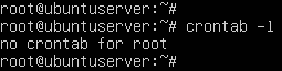 terminal command execution
