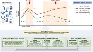 With: Resilience graph model.