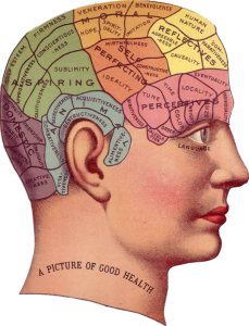 Vintage phrenology mapping of brain.