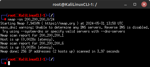 terminal command execution