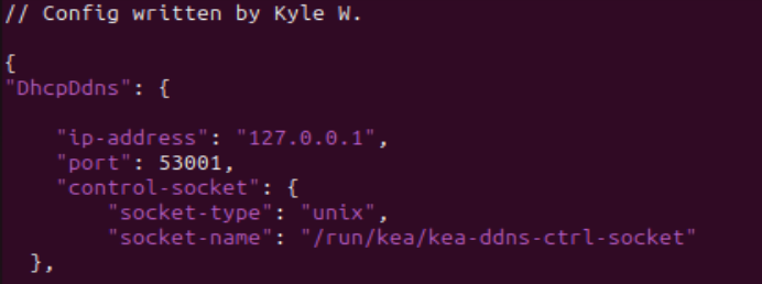 screenshot of beginning of DDNS file