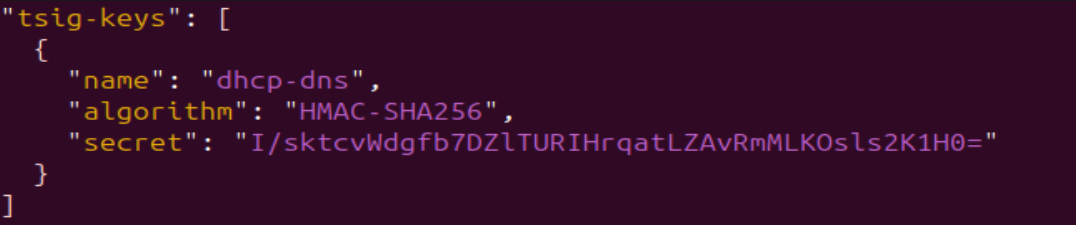 screenshot of dhcp-dns.json file