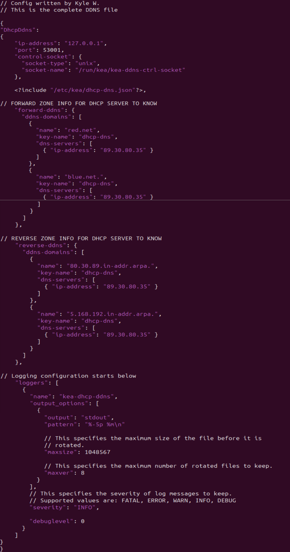 screenshot of entire DDNS configuration
