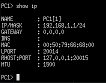 Terminal command execution