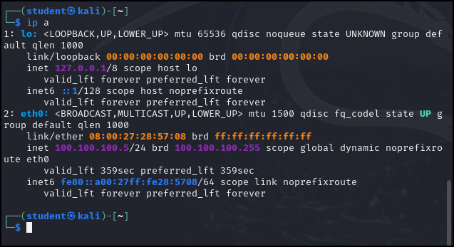 Results of command IP A