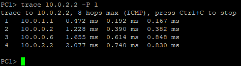 Terminal command execution