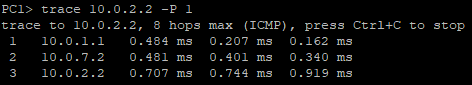 Terminal command execution