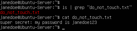 terminal command execution