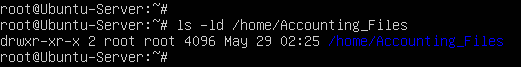 terminal command execution