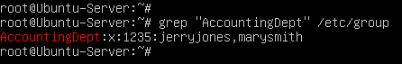 terminal command execution