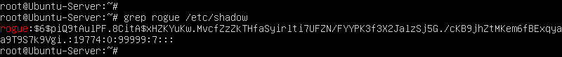 terminal command execution