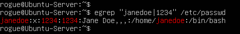terminal command execution