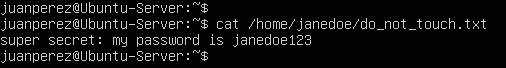 terminal command execution