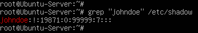 terminal command execution