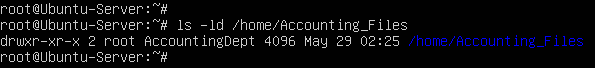 terminal command execution