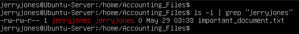 terminal command execution