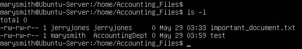 terminal command execution