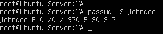 terminal command execution