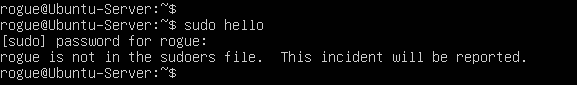 terminal command execution