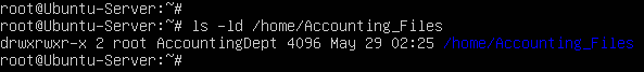 terminal command execution