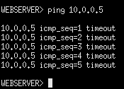 terminal command execution