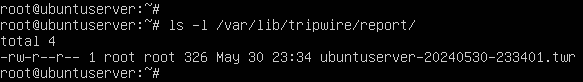 terminal command excution
