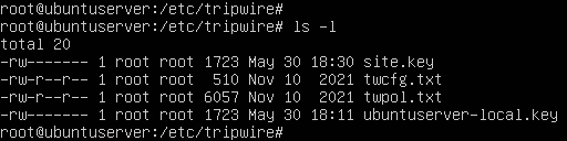 terminal command execution