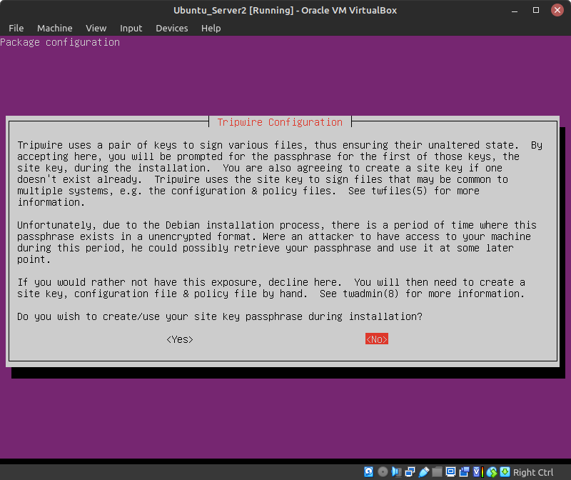 tripwire installer